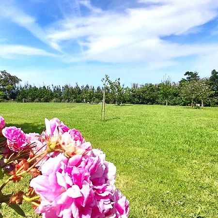 Apartamento Rural Playa Foz - Vistas Al Mar Exteriör bild